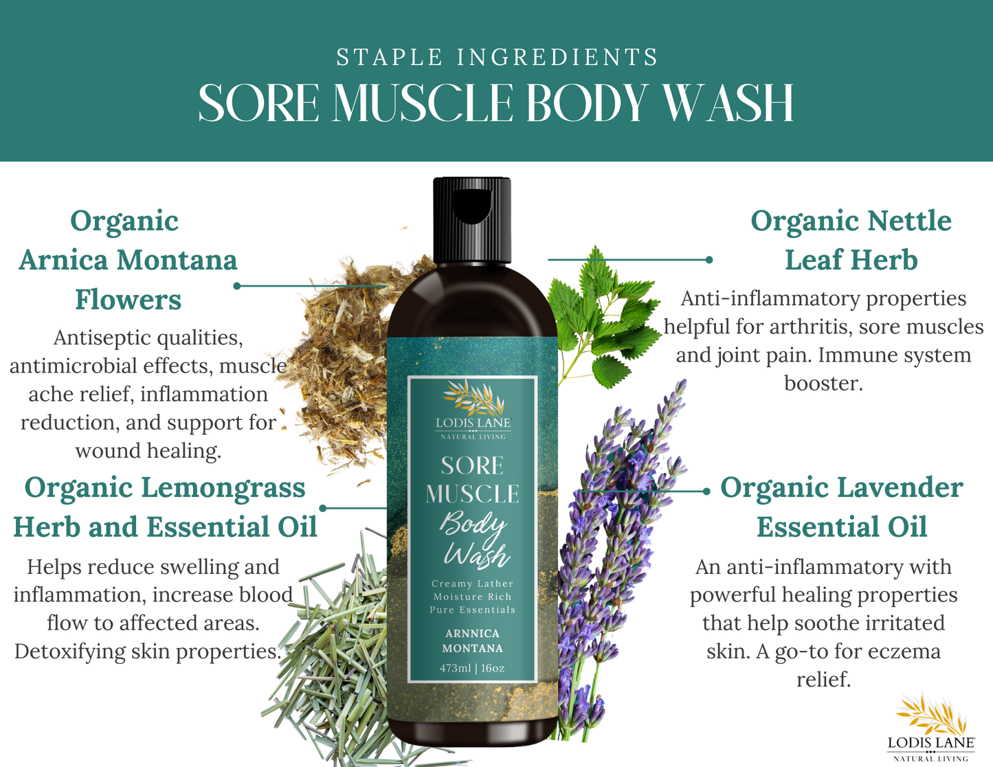 Sore Muscle Body Wash – Highlighting key organic ingredients including Arnica Montana, Lavender Essential Oil, and Nettle Herb.