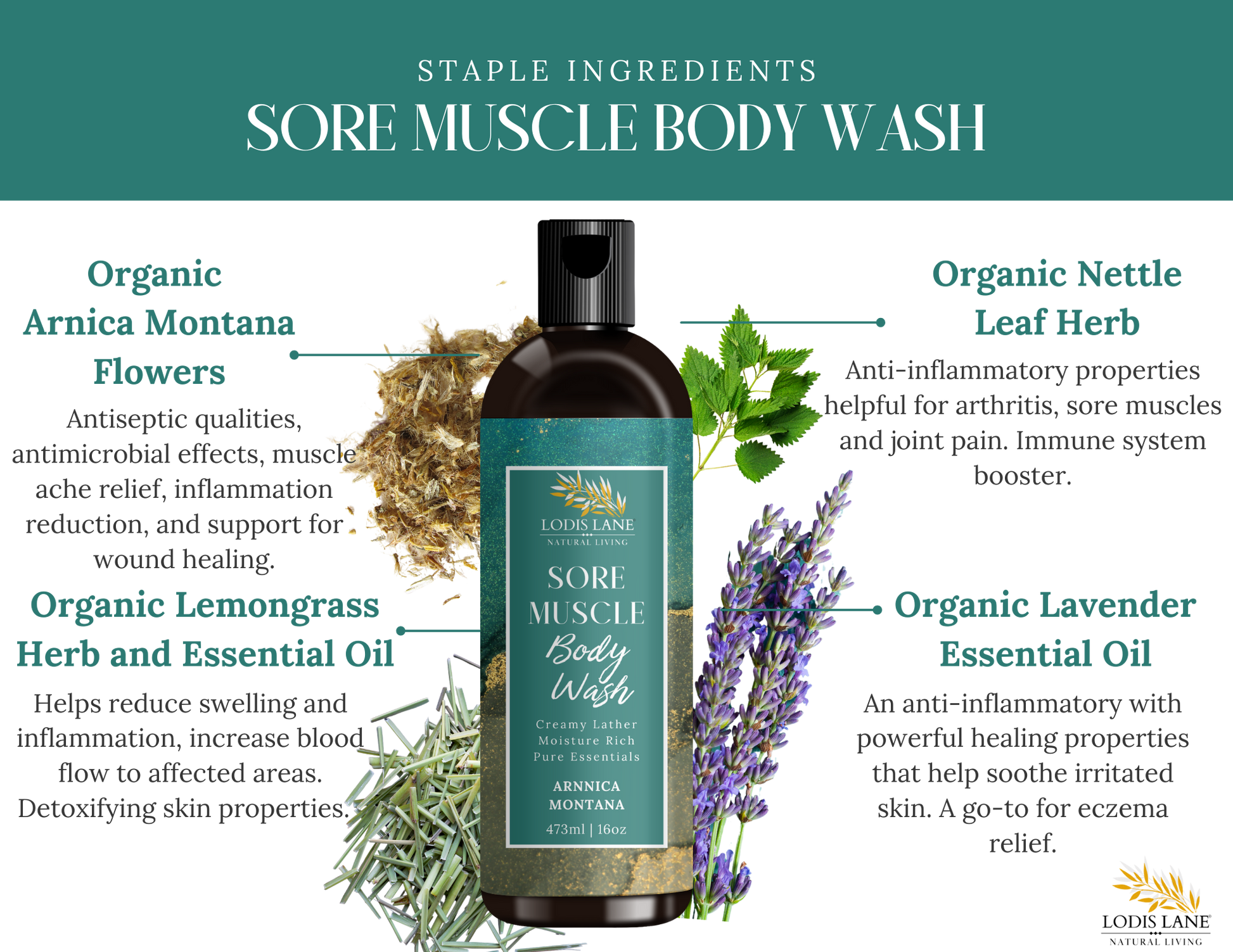 Sore Muscle Body Wash – Highlighting key organic ingredients including Arnica Montana, Lavender Essential Oil, and Nettle Herb.